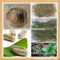Hot sales Hairyvein agrimony extract/Polyphenol 30%-40%/Cardiovascular factory supply